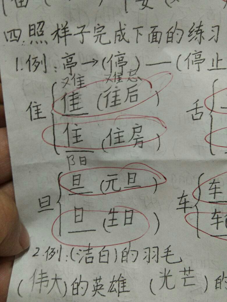 汉字之美，探究组词奥秘与部首结构