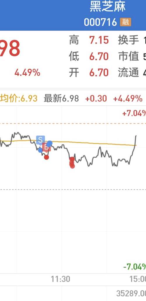 黑芝麻股吧，股票投资领域中的热门社区探索