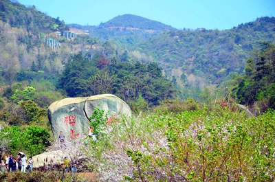 梅岭之巅，自然魅力的探索与巅峰之旅