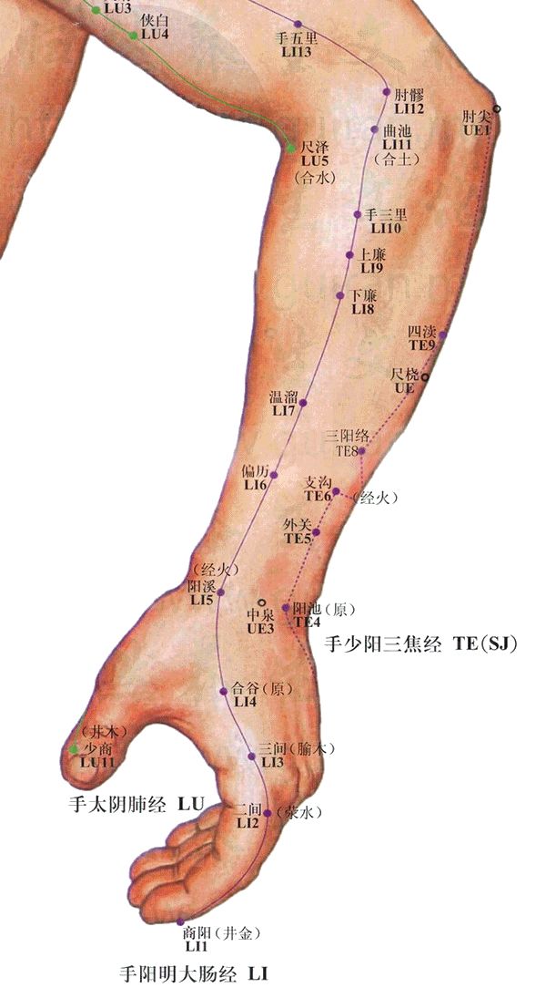 曲池的准确位置图解，定位与功能解析