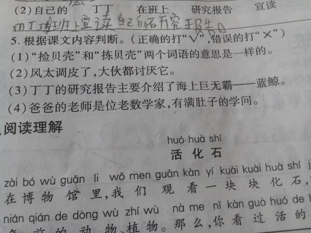 四字词语的魅力与启示，探寻双重启示的魅力