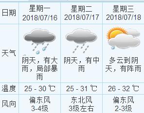 2025年3月5日 第5页