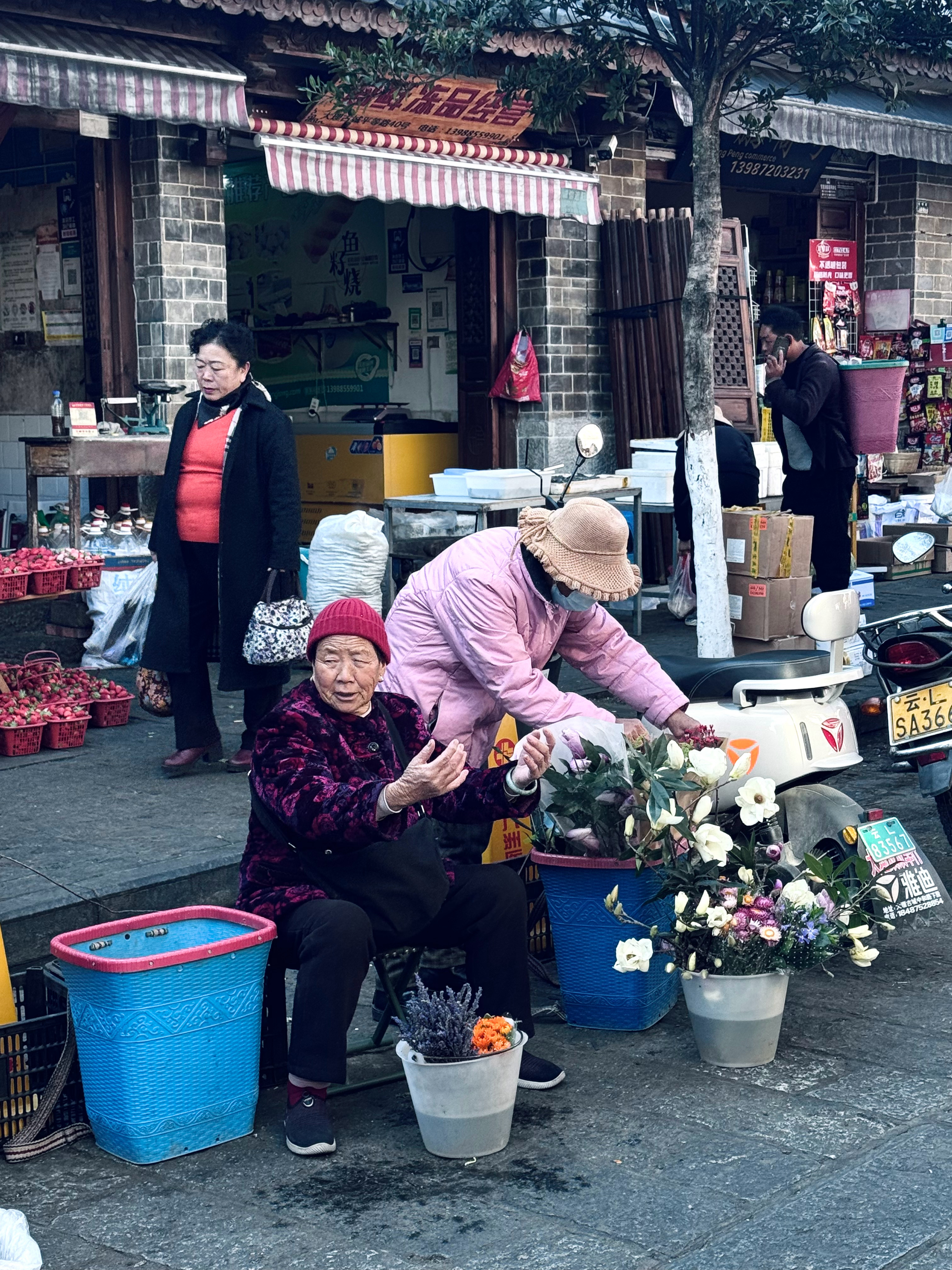 大理大龙可爱奶奶走红，温情跨越时空的传奇故事